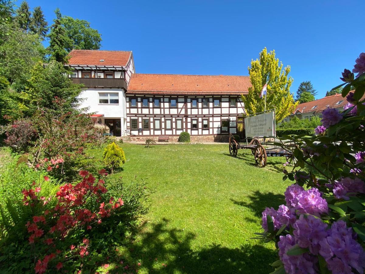 באד סקסה Hotel Pension Gelpkes Muehle מראה חיצוני תמונה